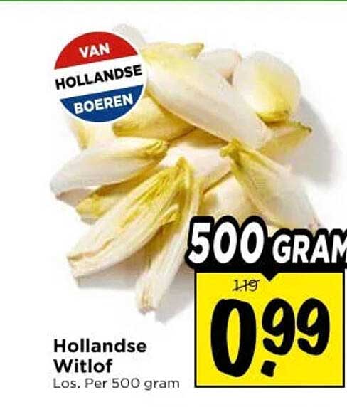 Hollandse Witlof Los. Per 500 gram