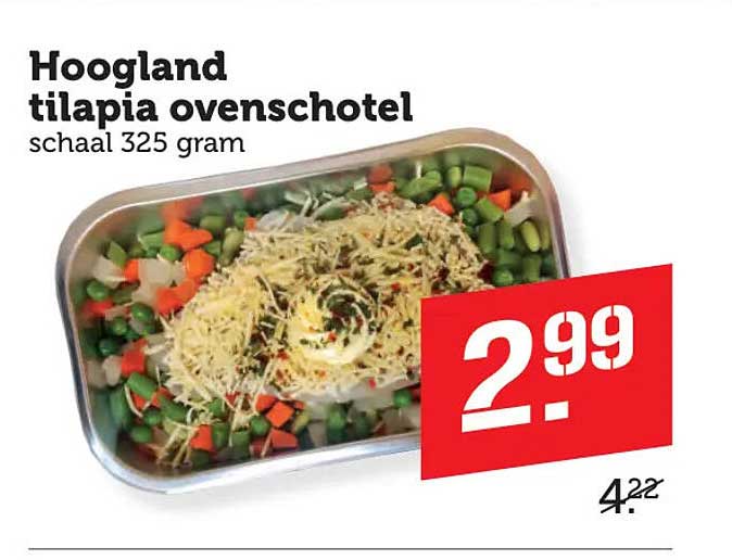 Hoogland tilapia ovenschotel schaal 325 gram