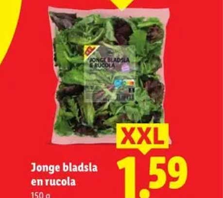 Jonge bladsla en rucola XXL
