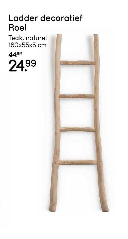 Ladder decoratief Roel