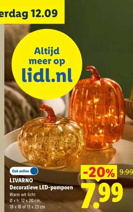 LIVARNO Decoratieve LED-pompoen -20%