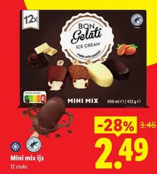 Mini mix ijs 12 stuks