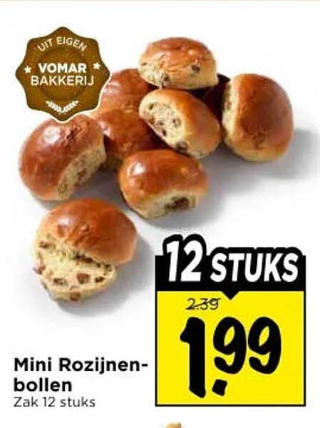 Mini Rozijnenbollen Zak 12 stuks 12 STUKS