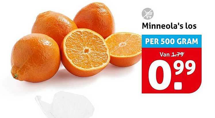 Minneola's los