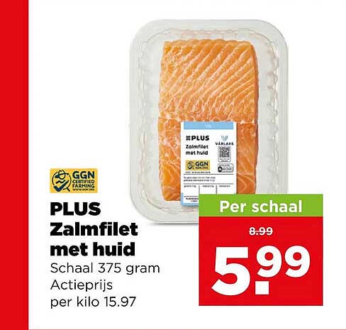 PLUS Zalmfilet met huid