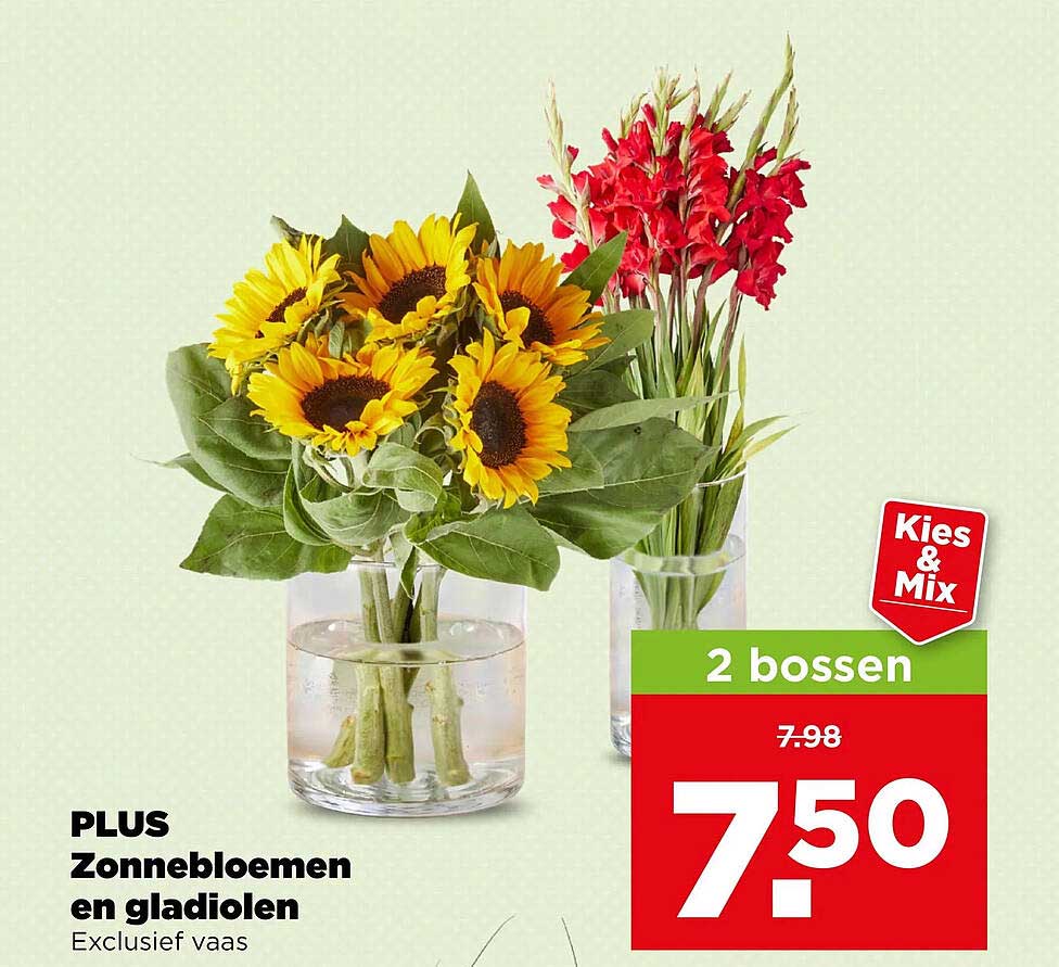 PLUS Zonnebloemen en gladiolen Exclusief vaas 2 bossen