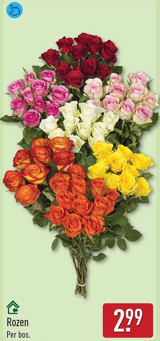 Rozen
