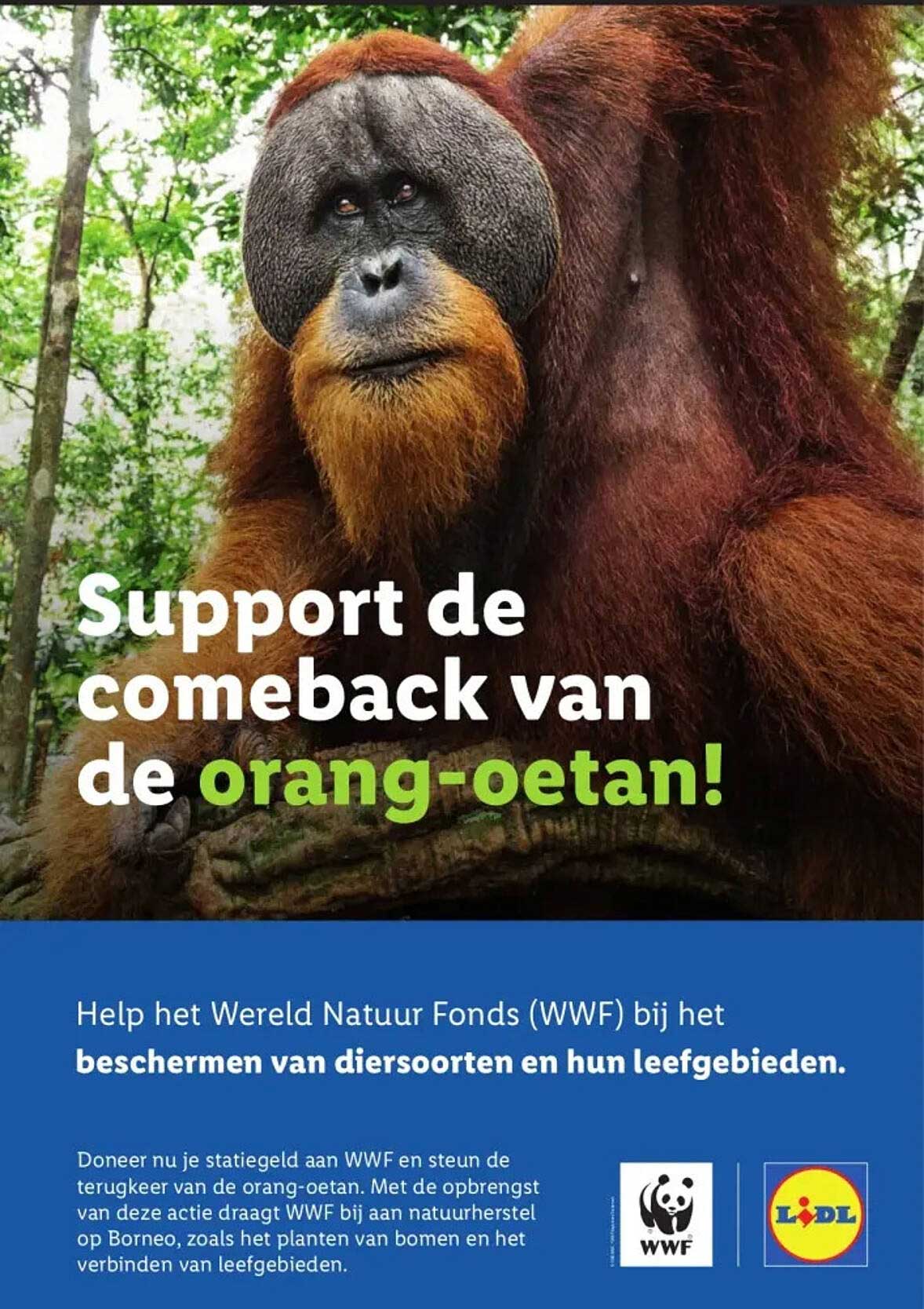 Support de comeback van de orang-oetan!