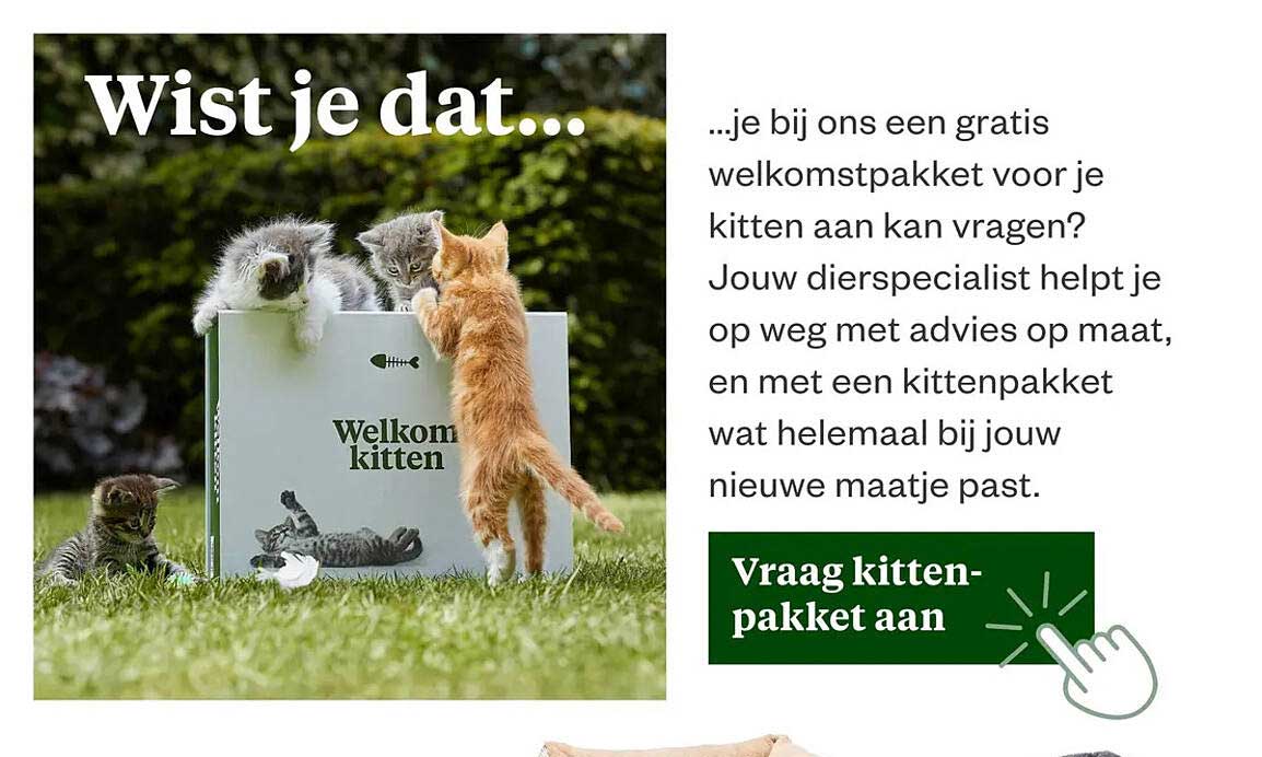 Vraag kitten-pakket aan