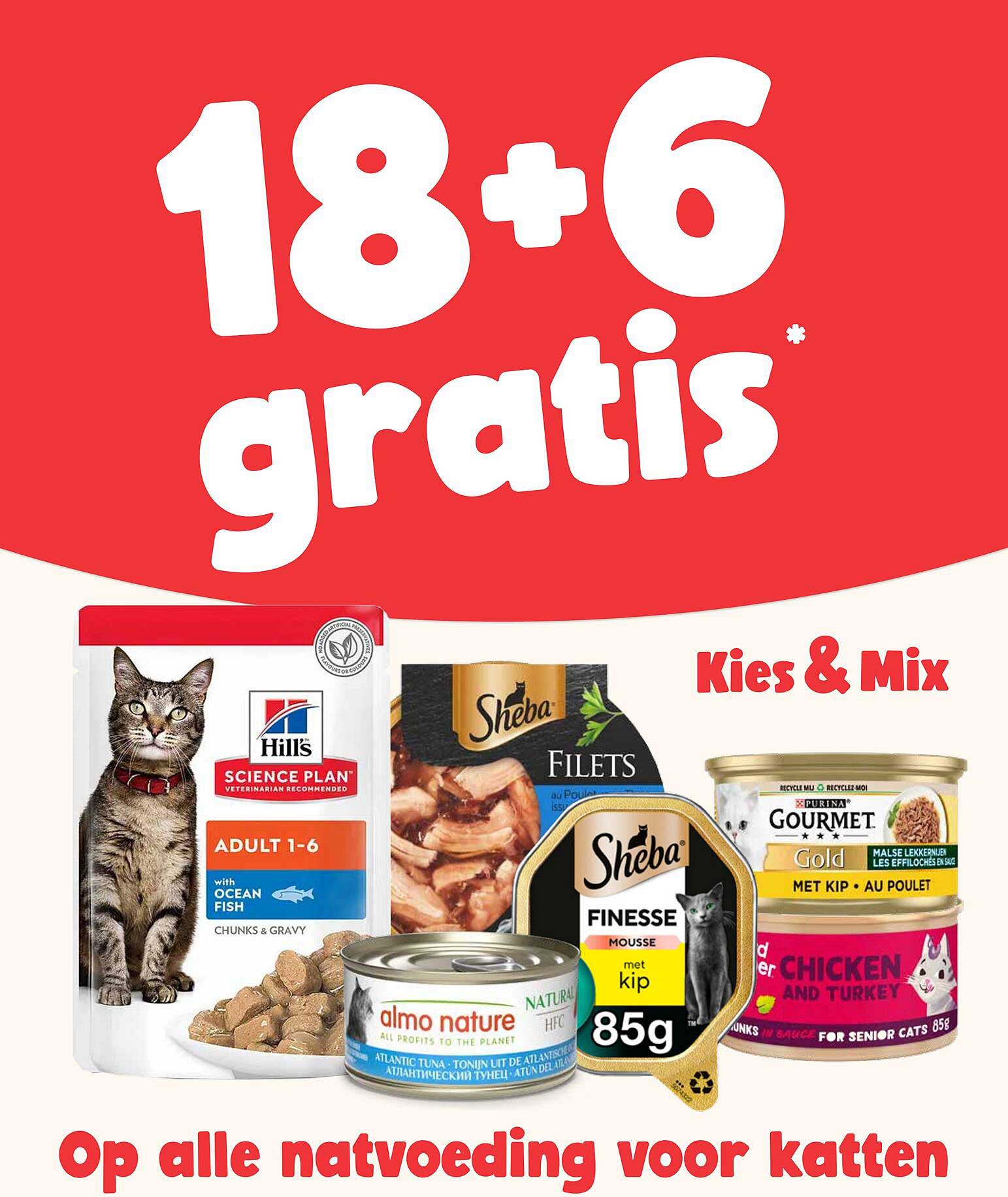 18+6 gratis