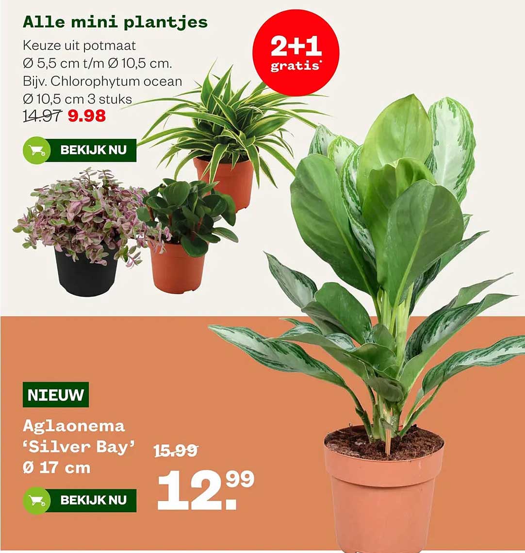 Alle mini plantjes 2+1 gratis