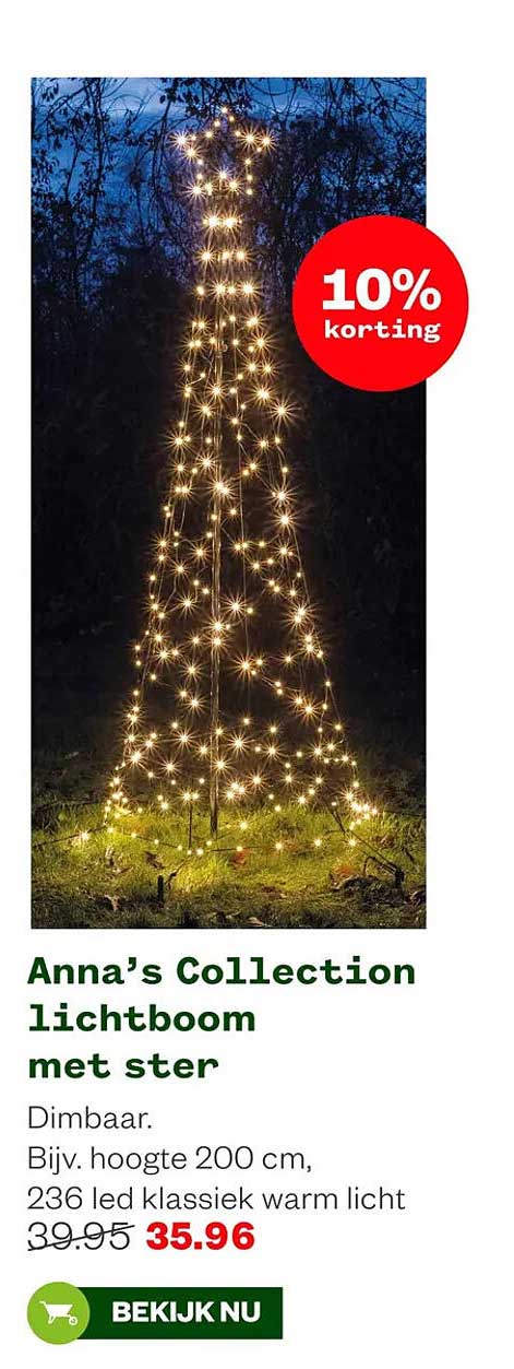 Anna’s Collection lichtboom met ster