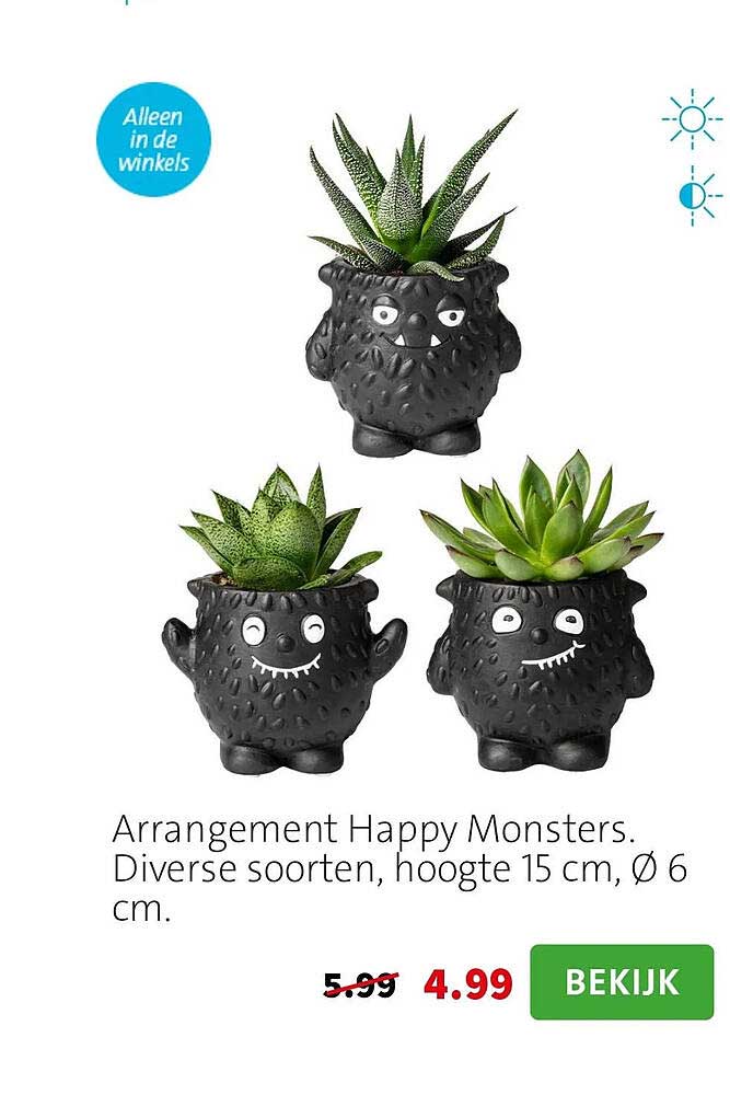 Arrangement Happy Monsters. Diverse soorten, hoogte 15 cm, Ø 6 cm.