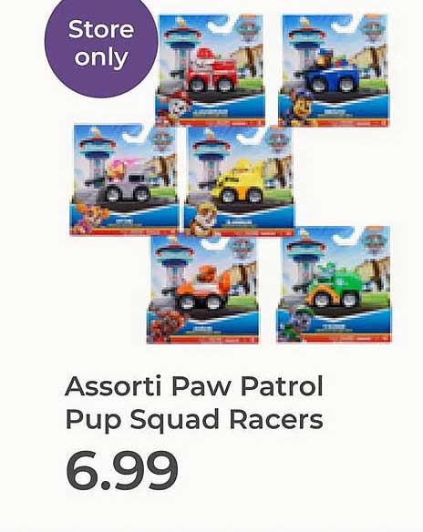 Assorti Paw Patrol Pup Squad Racers