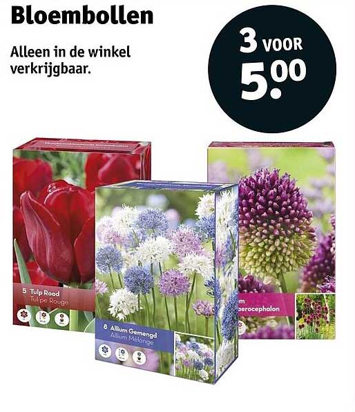 Bloembollen 3 voor 5.00
