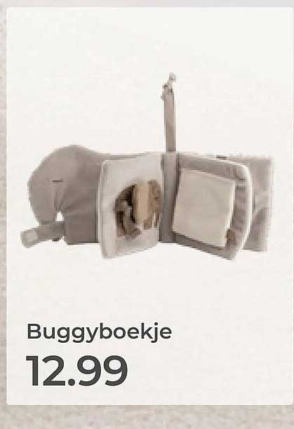 Buggyboekje