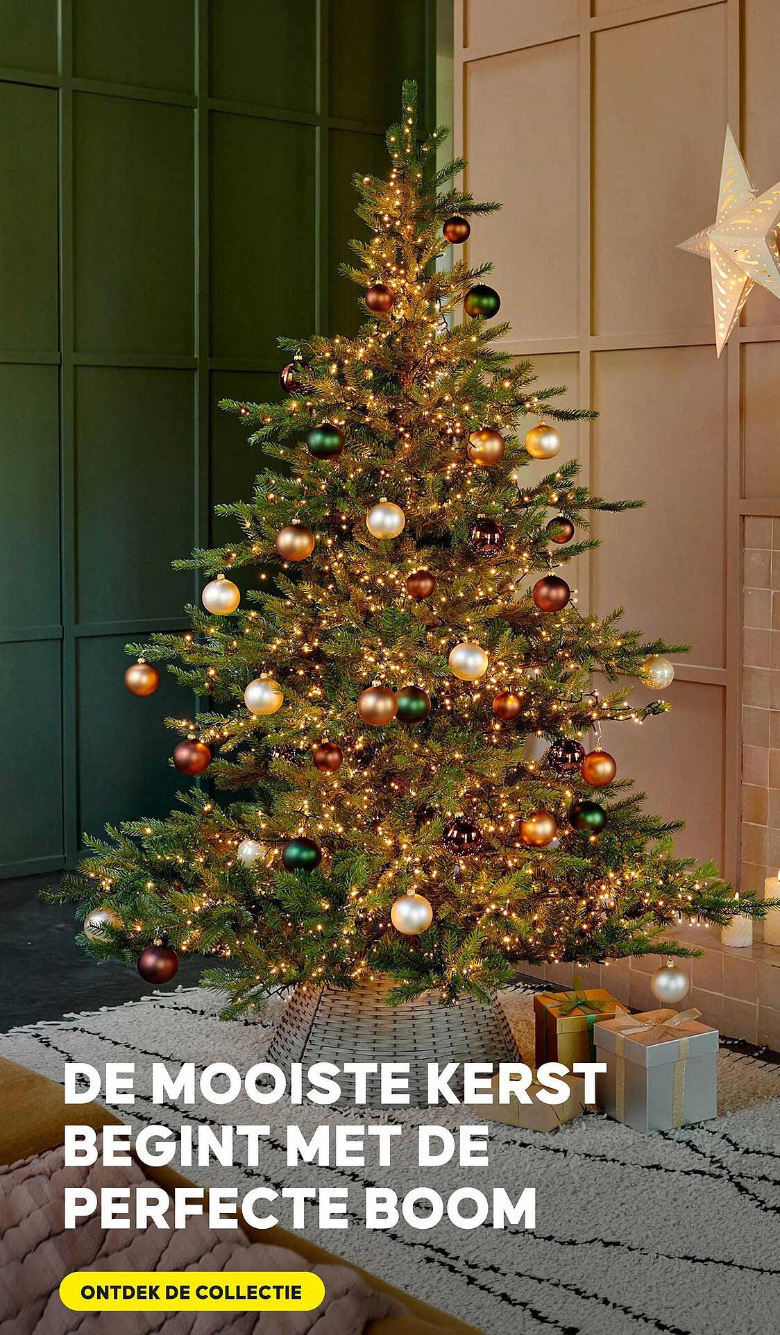 DE MOOISTE KERST BEGINT MET DE PERFECTE BOOM
