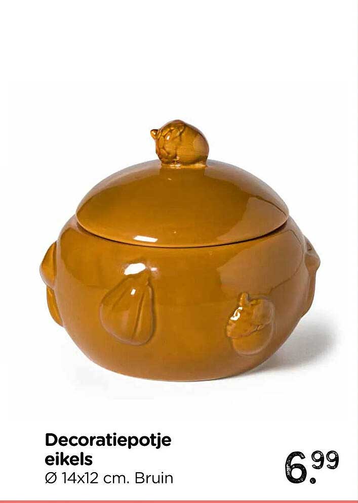 Decoratiepotje eikels