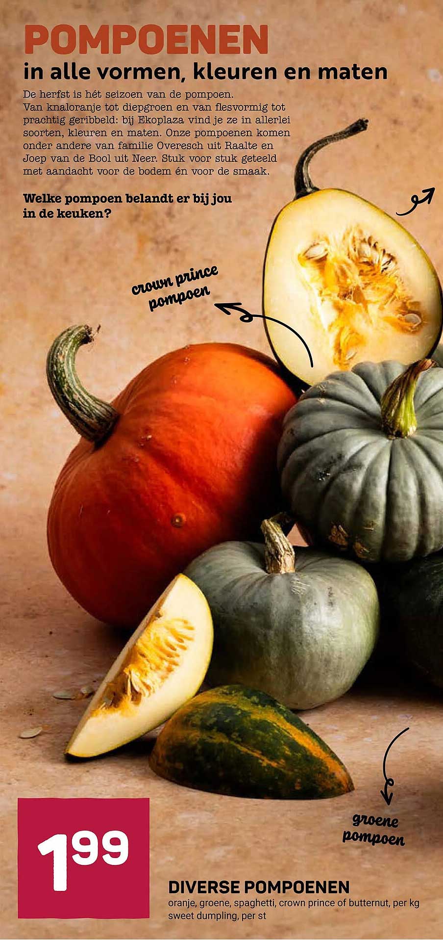 DIVERSE POMPOENEN