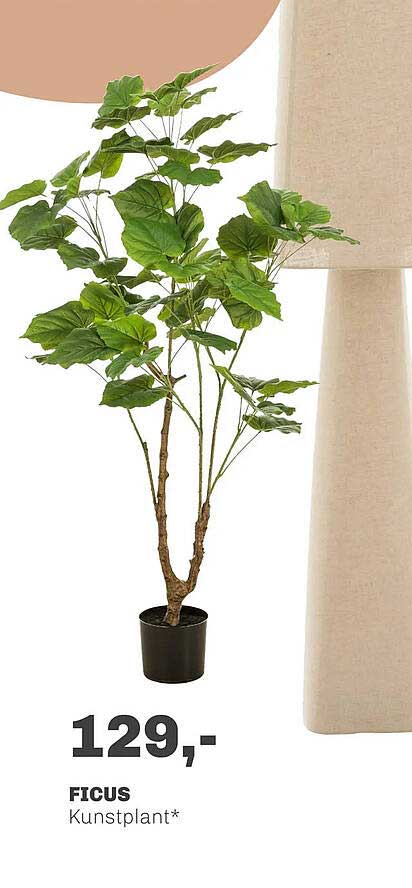 FICUS Kunstplant*