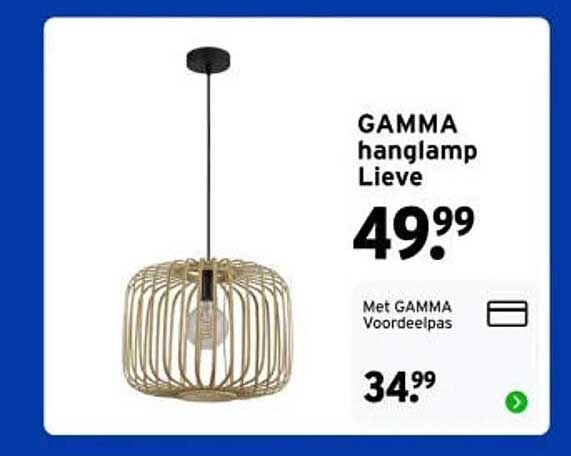 GAMMA hanglamp Lieve