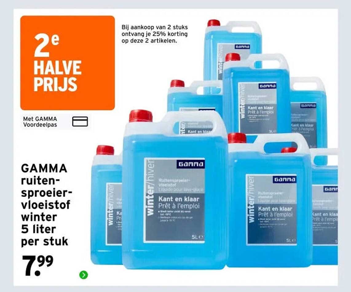 GAMMA ruiten-sproeier-vloeistof winter 5 liter per stuk 2e halve prijs
