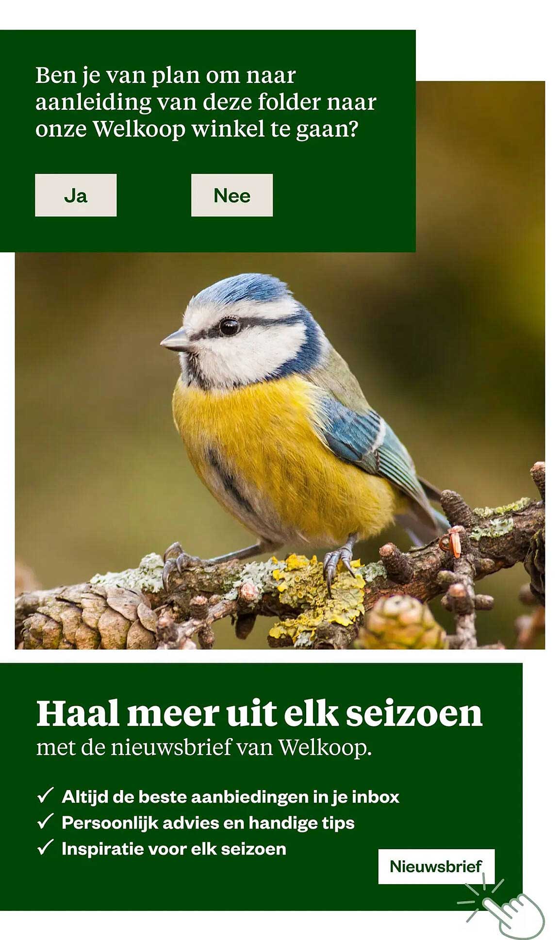 Haal meer uit elk seizoen met de nieuwsbrief van Welkoop.