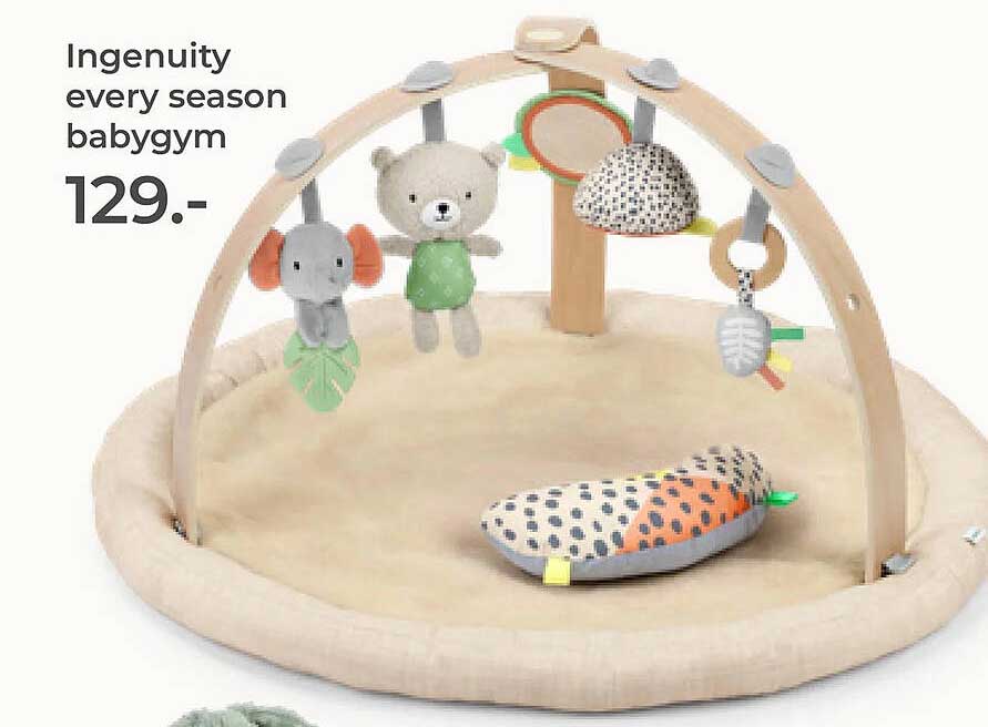Ingenuity every season babygym