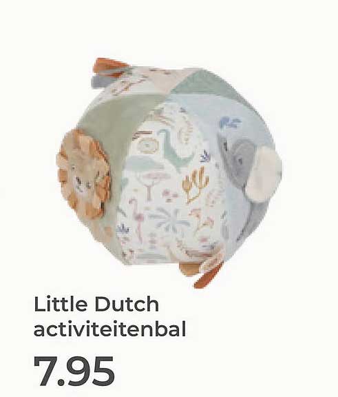 Little Dutch activiteitenbal