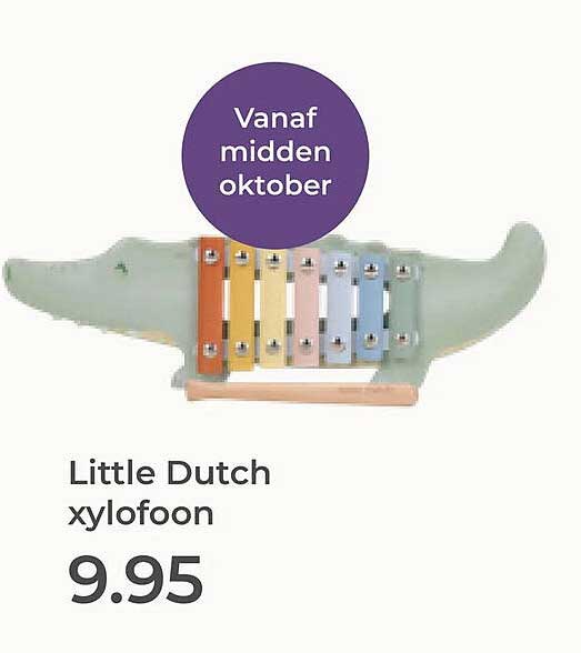 Little Dutch xylofoon