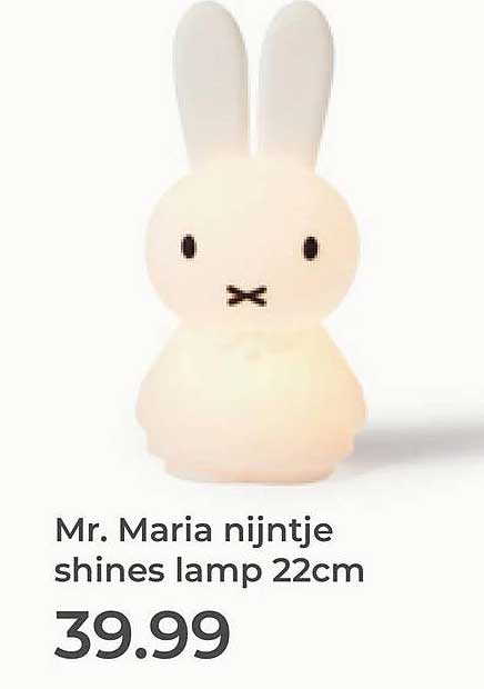 Mr. Maria nijntje shines lamp 22cm