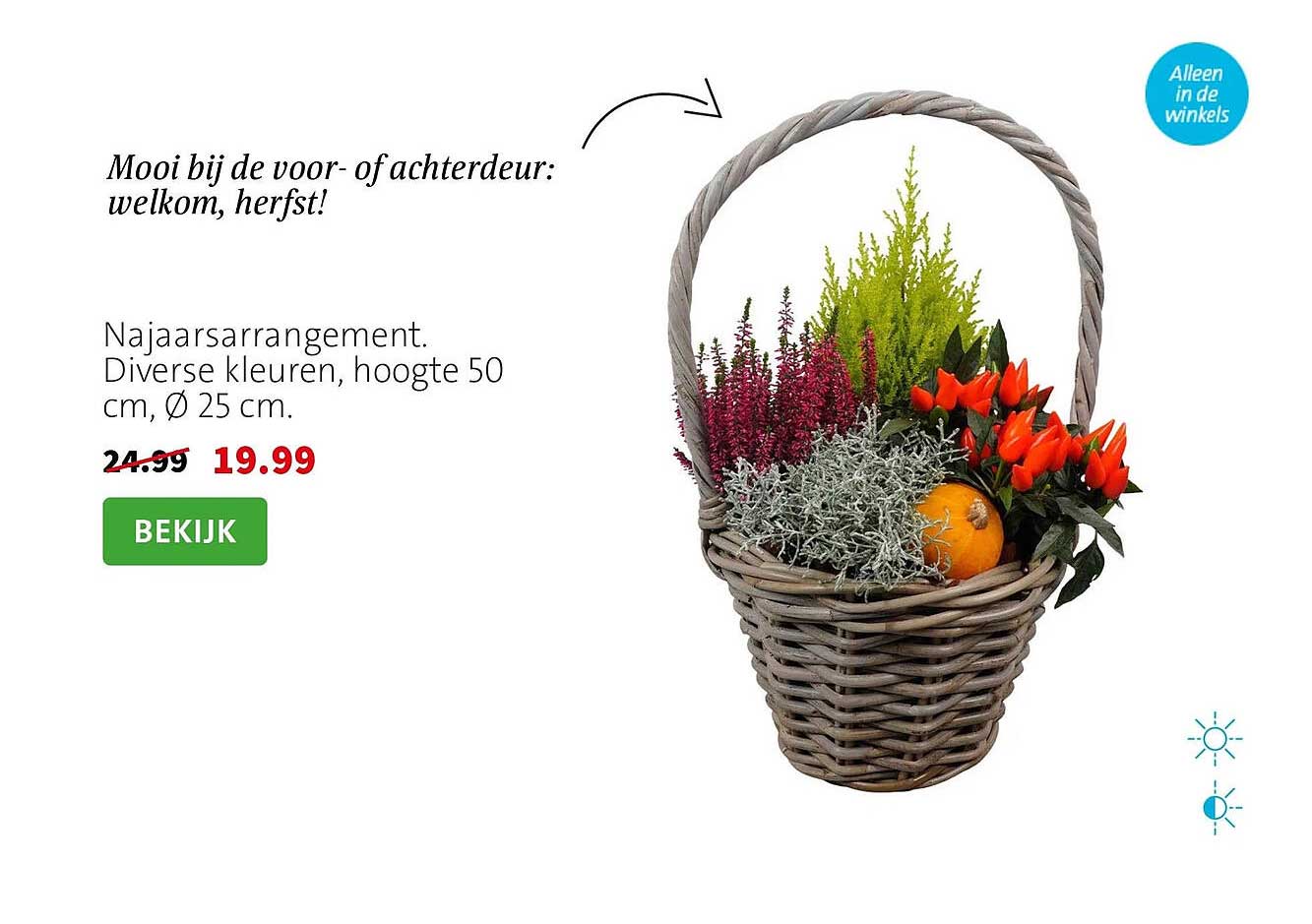 Najaarssarrangement. Diverse kleuren, hoogte 50 cm, Ø 25 cm.