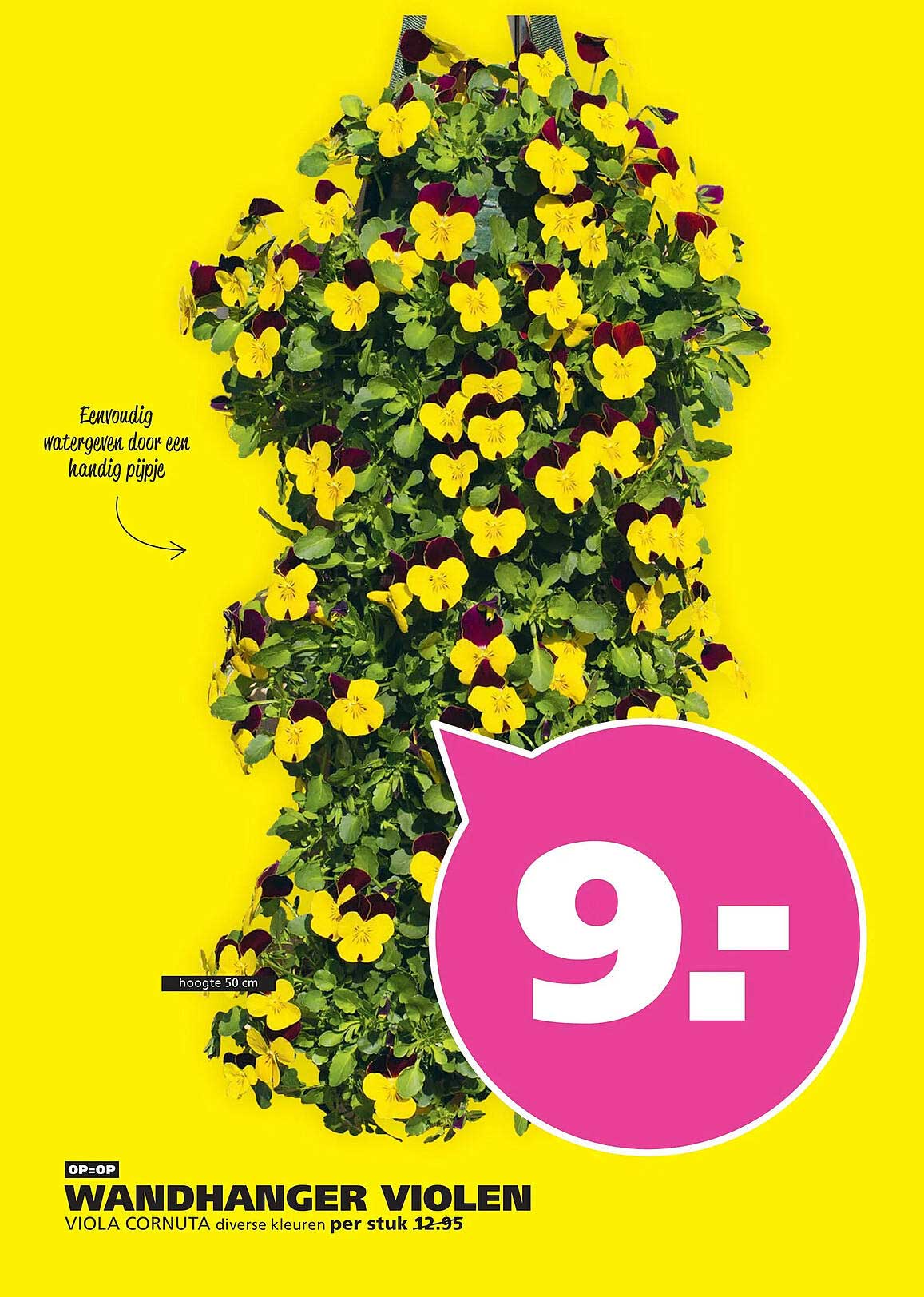 OP=OP WANDHANGER VIOLEN VIOLA CORNUTA diverse kleuren per stuk