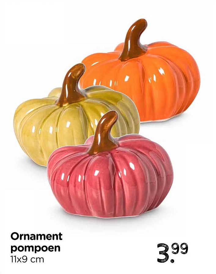 Ornament pompoen