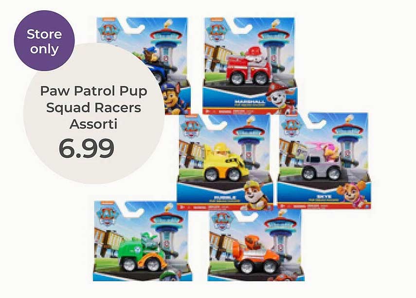 Paw Patrol Pup Squad Racers Assorti