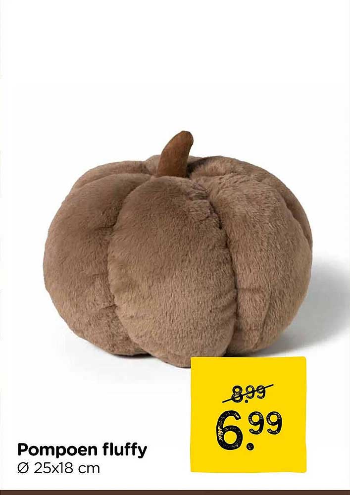 Pompoen fluffy Ø 25x18 cm
