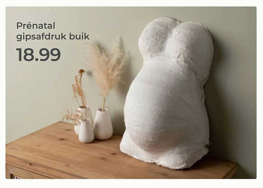 Prénatal gipsafdruk buik