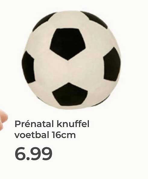 Prénatal knuffel voetbal 16cm