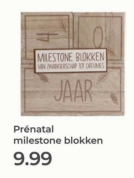 Prénatal milestone blokken