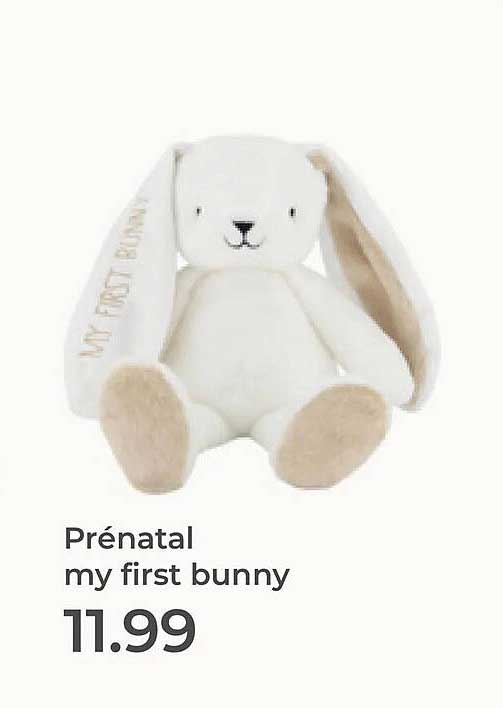 Prénatal my first bunny