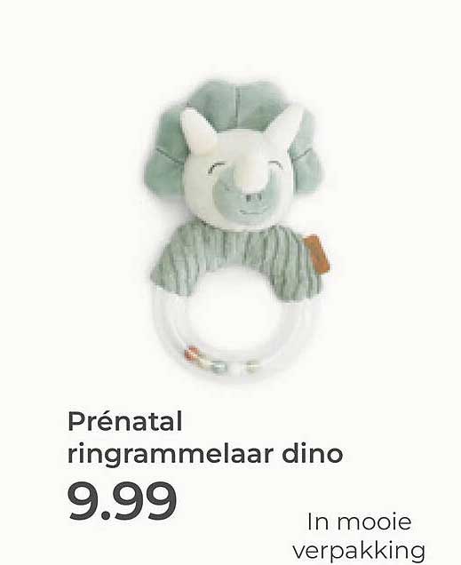Prénatal ringrammelaar dino