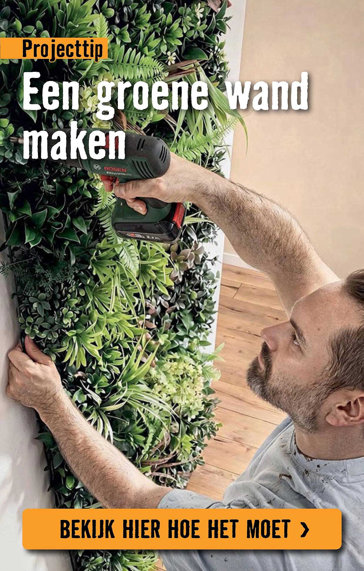 Projecttip Een groene wand maken