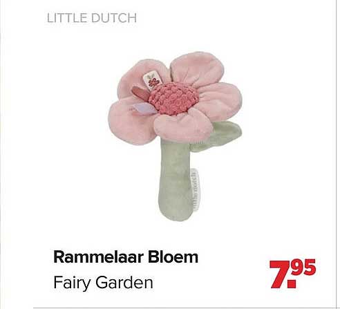 Rammelaar Bloem Fairy Garden