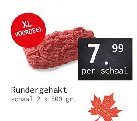 Rundergehakt schaal 2 x 500 gr. XL VOORDEEL