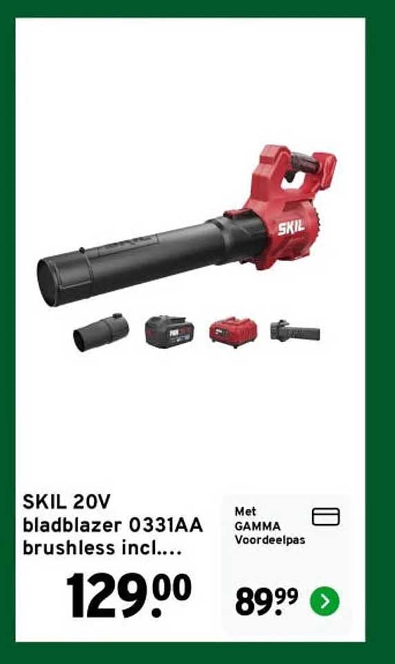 SKIL 20V bladblazer 0331AA brushless incl...