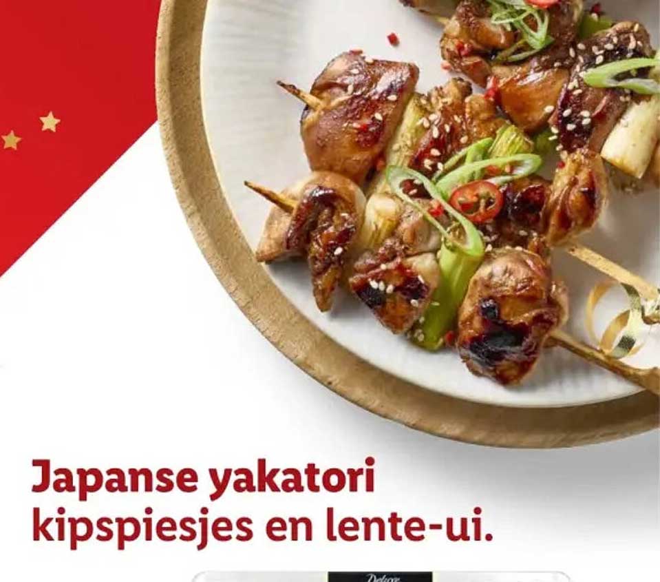 japanse-yakatori-kipspiesjes-en-lente-ui-aanbieding-bij-lidl