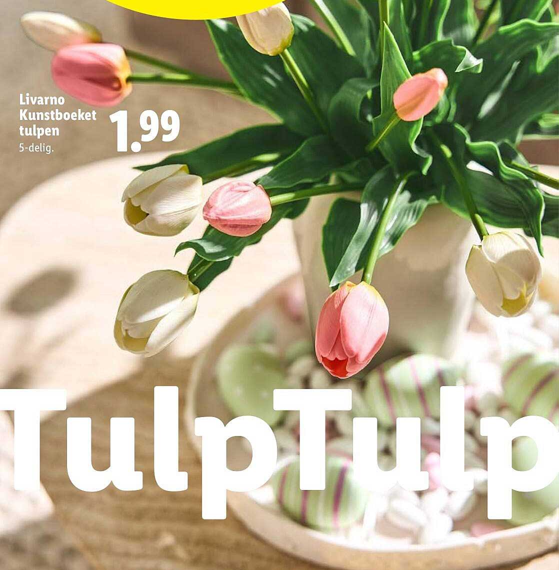 Wunderbar Weie Tulpen Kaufen Ebenbild