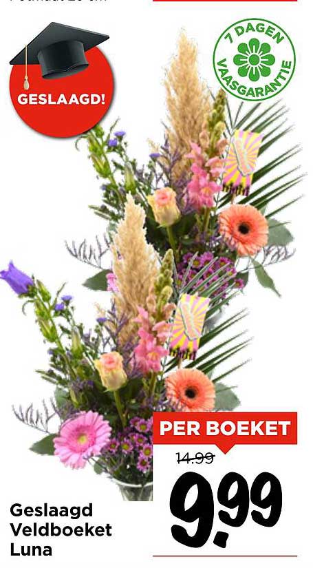 Geslaagd Veldboeket Luna