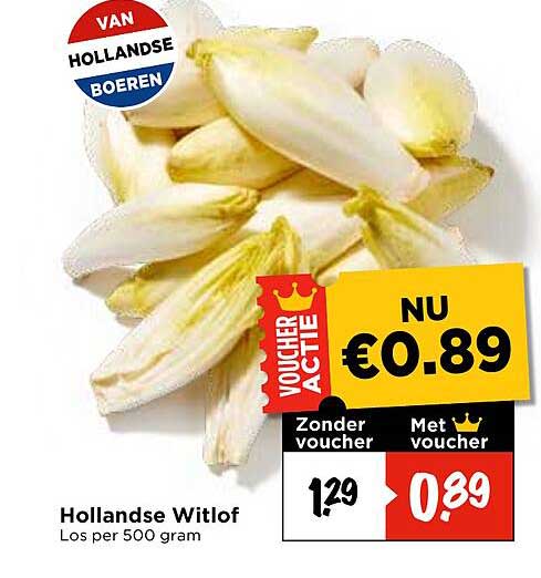 Hollandse Witlof Los per 500 gram