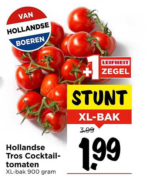 Hollanse Tros Cocktail-tomaten